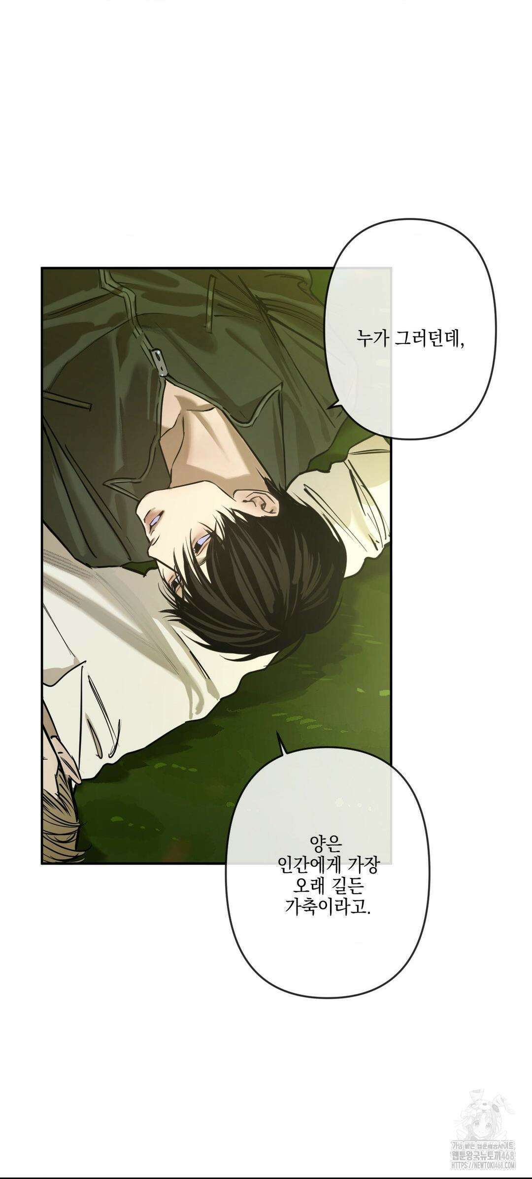 추락하는 양 6화 16