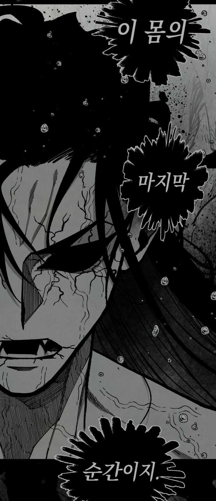 라서드 155화 수평선 13