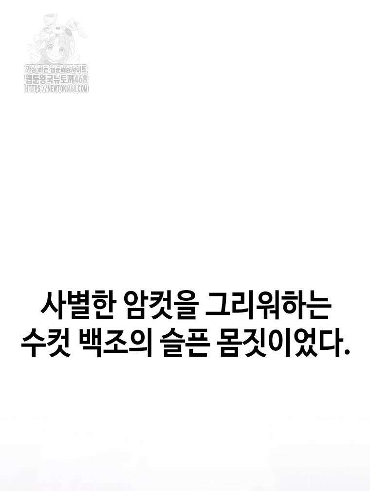 지옥의 씰버타운 9화 25