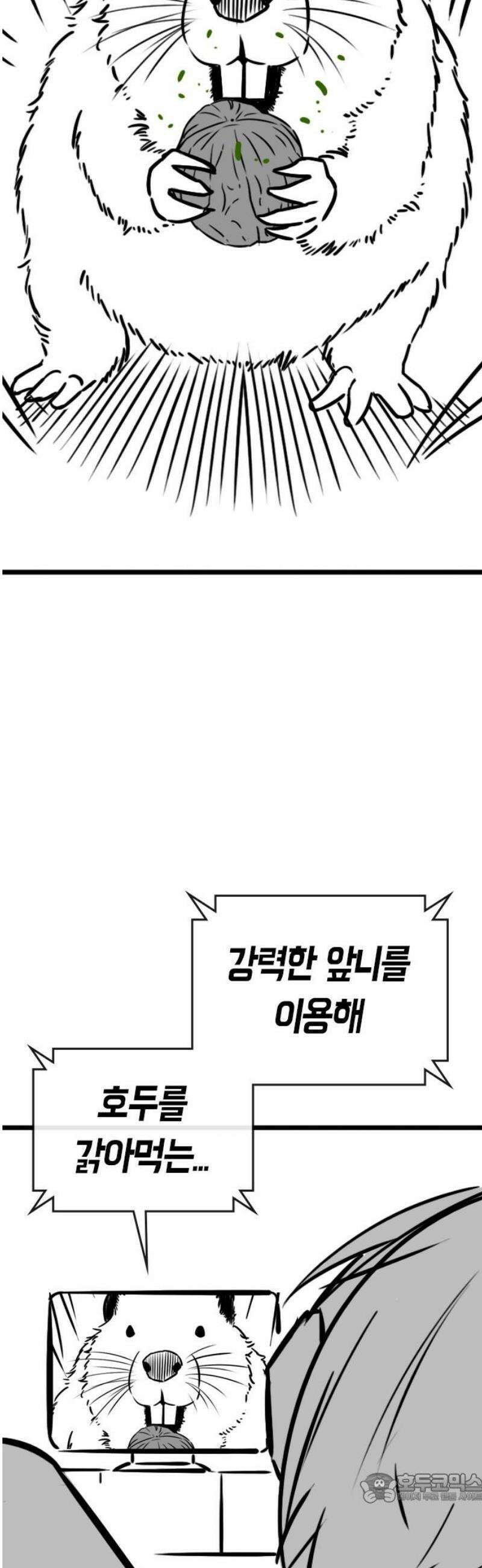 현실퀘스트 특별편 : 하도완의 호두 4
