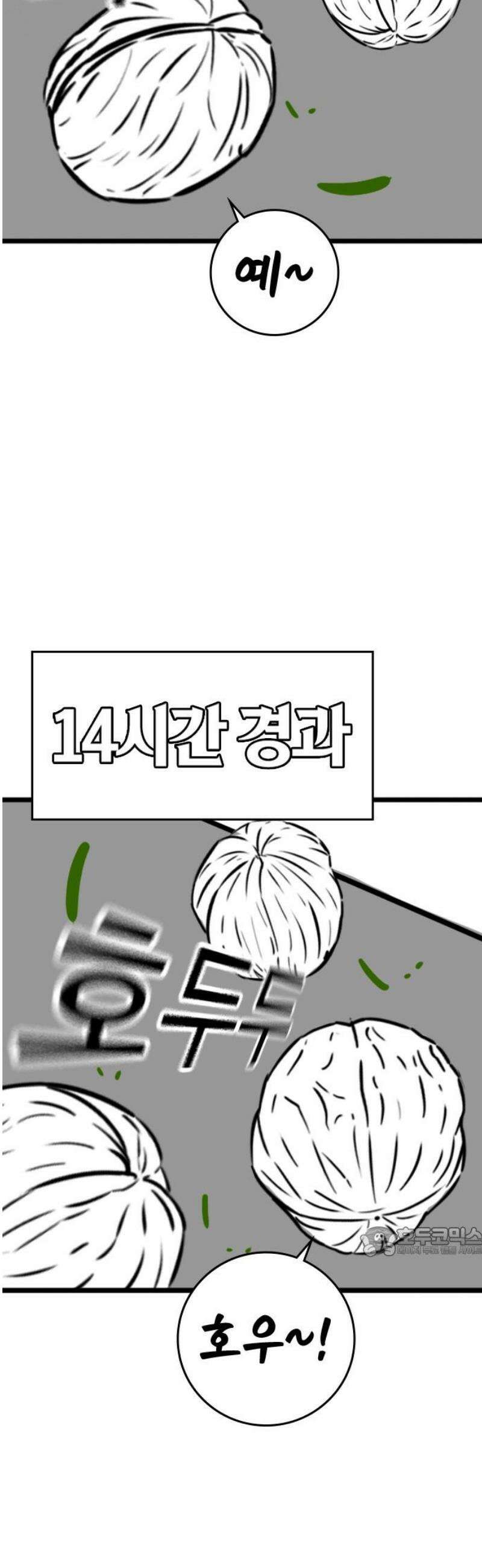 현실퀘스트 특별편 : 하도완의 호두 17