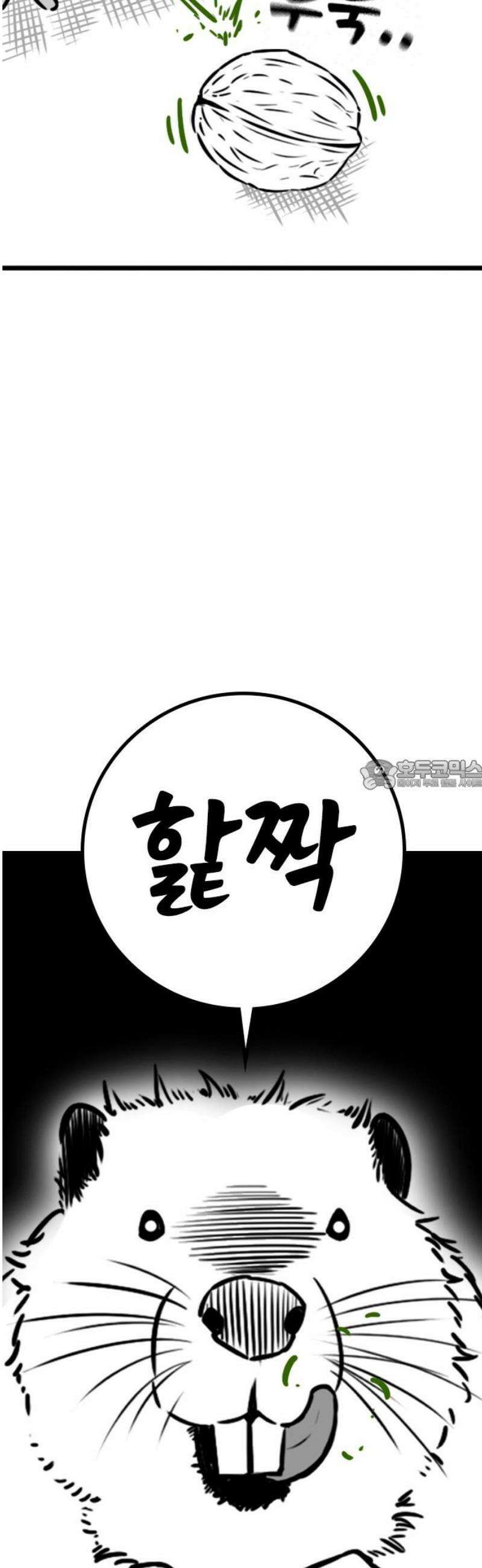 현실퀘스트 특별편 : 하도완의 호두 28