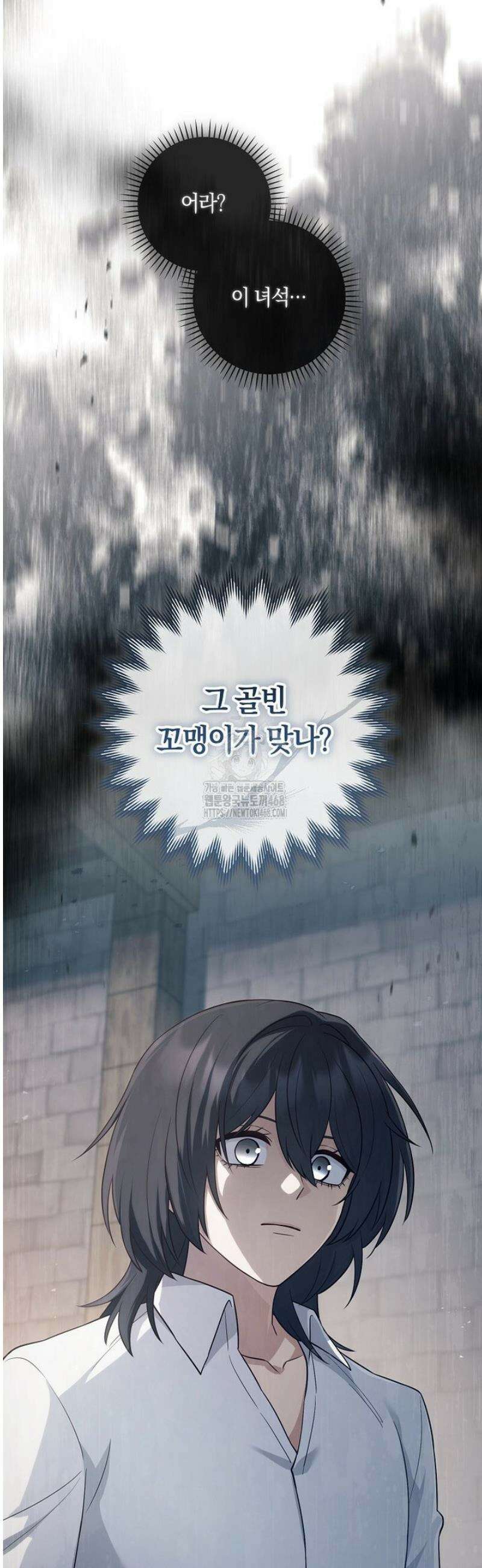 마법군주 3화 11