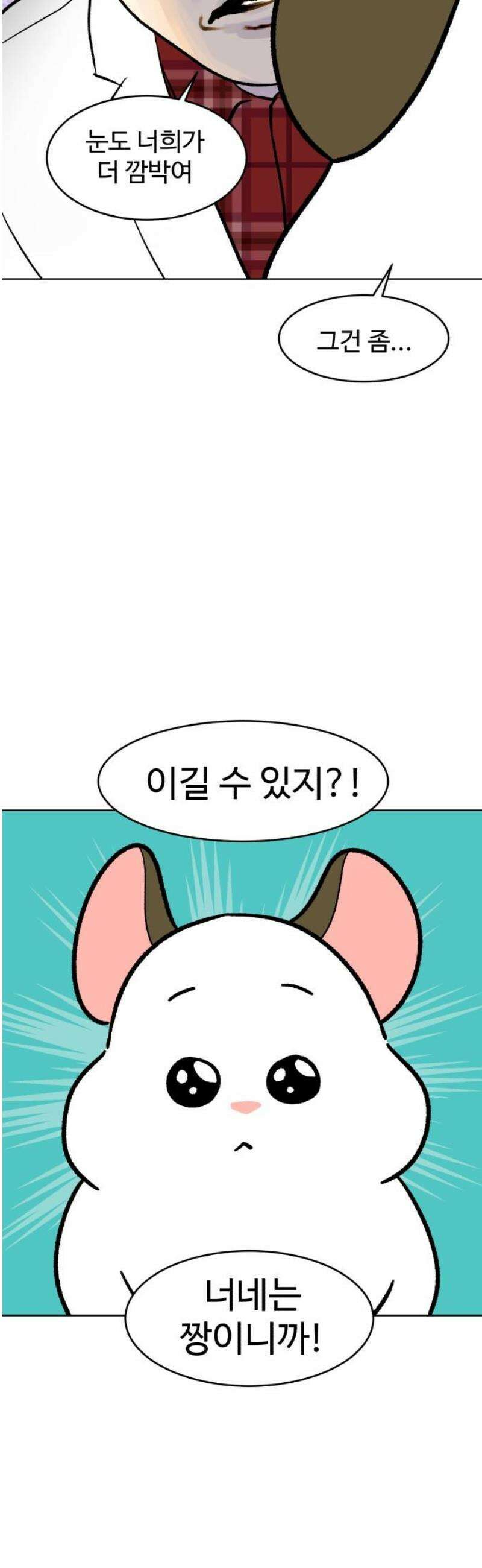 옹달샘 프로젝트 10화 이달의 사원 5