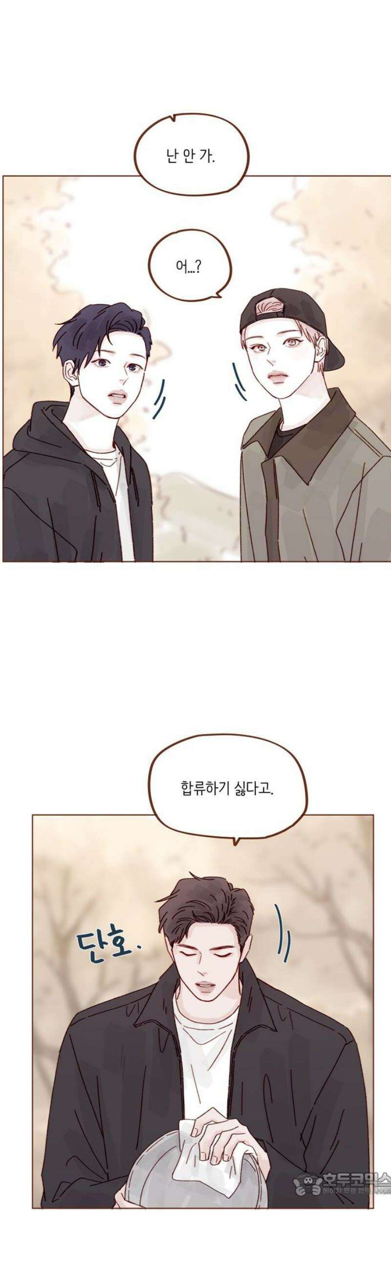 홍시는 날 좋아해 321화 : 사랑의 큐피드를 해주겠어! 19