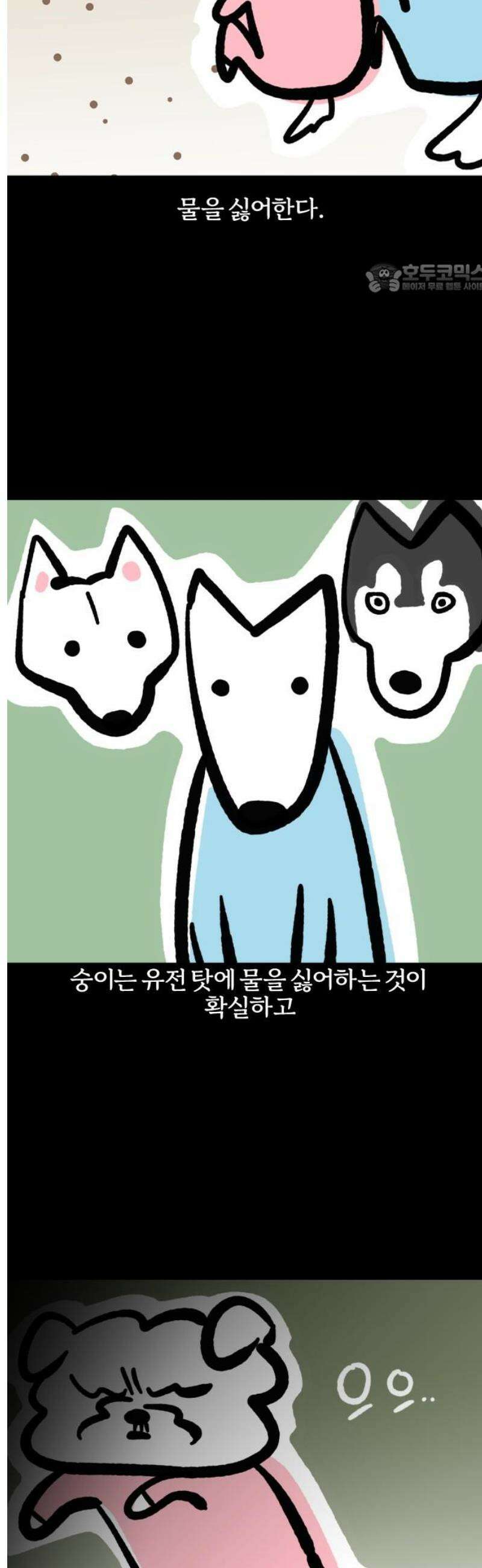 개집사 103화: 첨벙 2