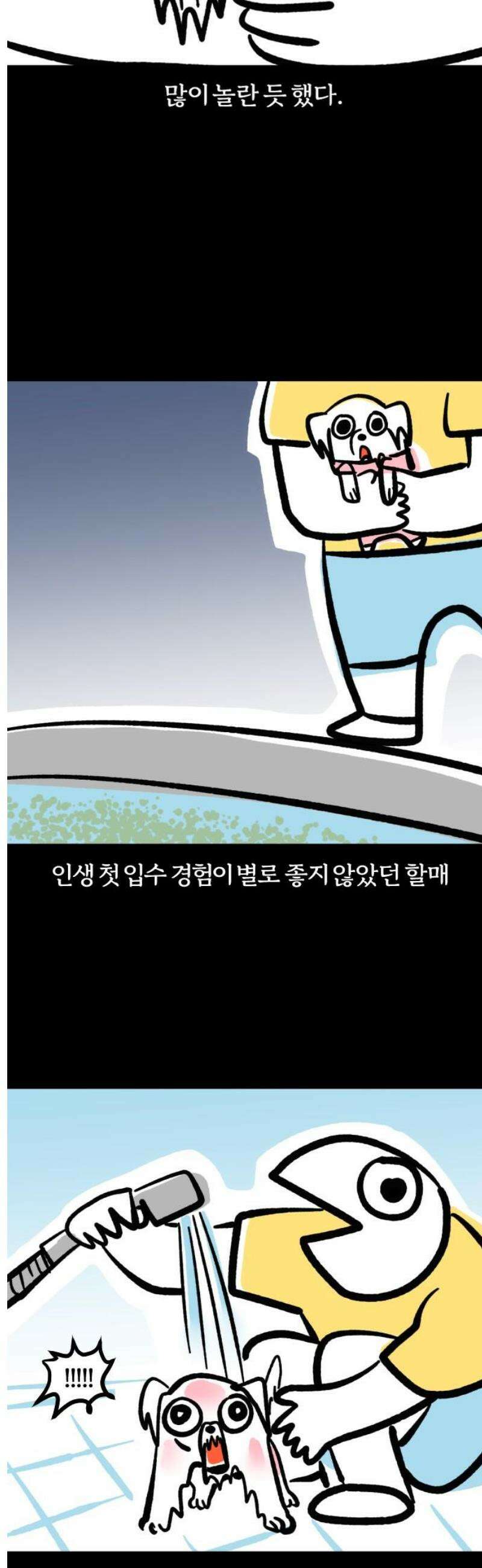 개집사 103화: 첨벙 9