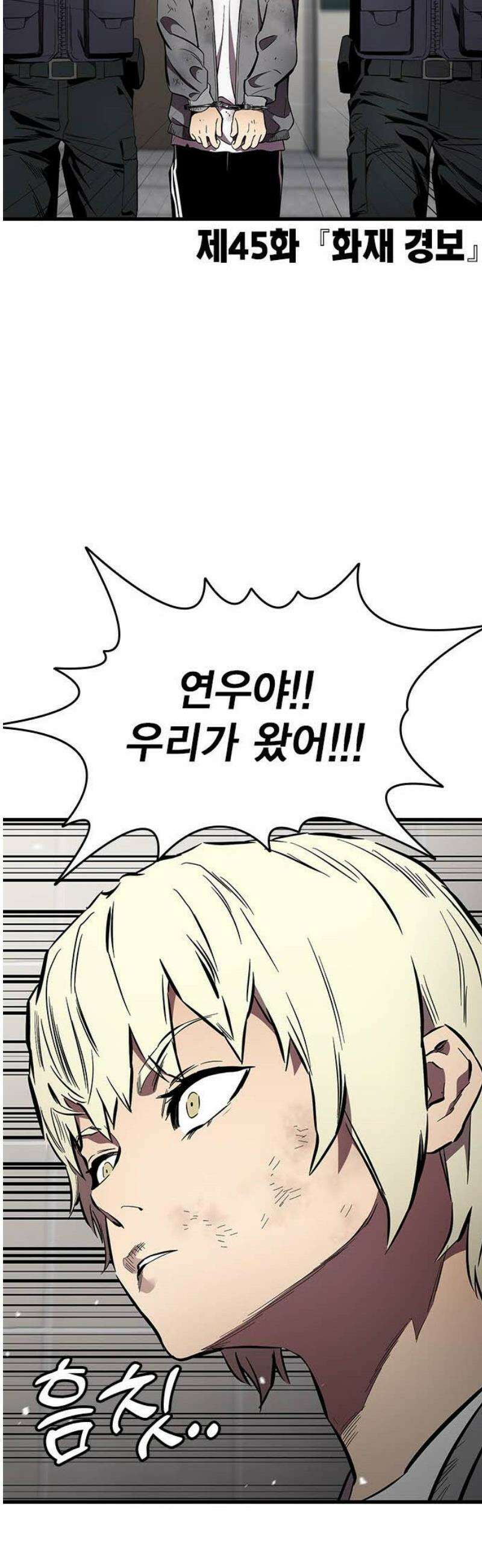 대장전 45화 20