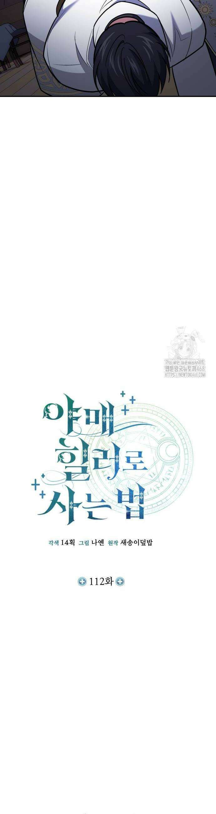 야매 힐러로 사는 법 112화 8