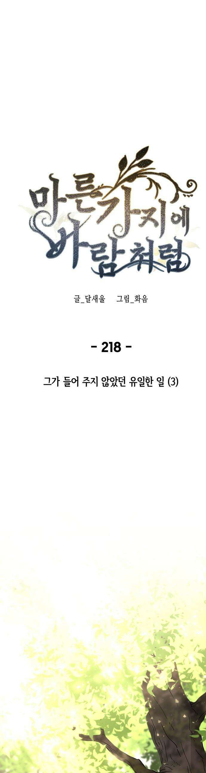마른 가지에 바람처럼 - 219화 그가 들어 주지 않았던 유일한 일 (3) 1