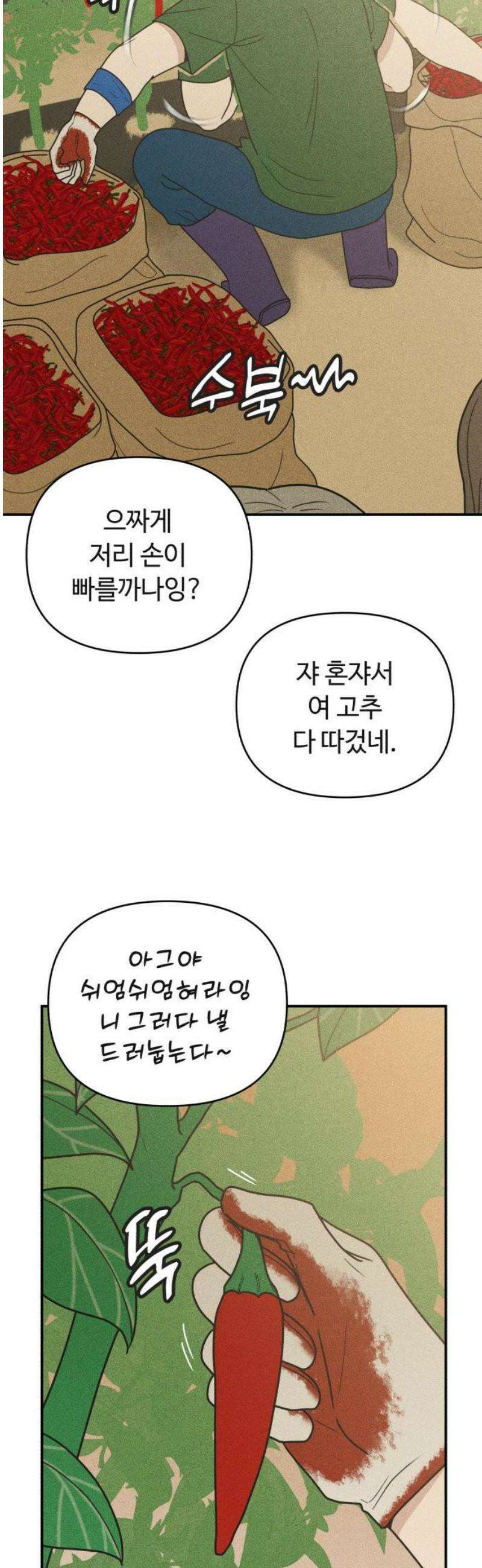 아이스크림 소년 35． 10cm 16