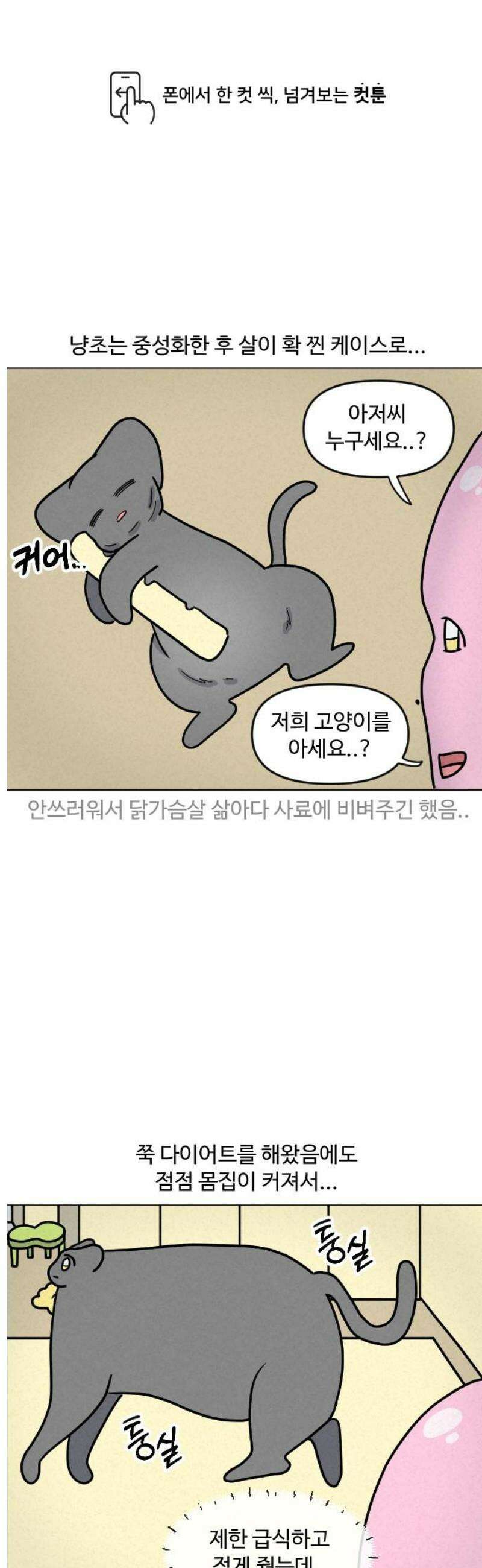 쌉초의 난 141화 냥초 병원 1