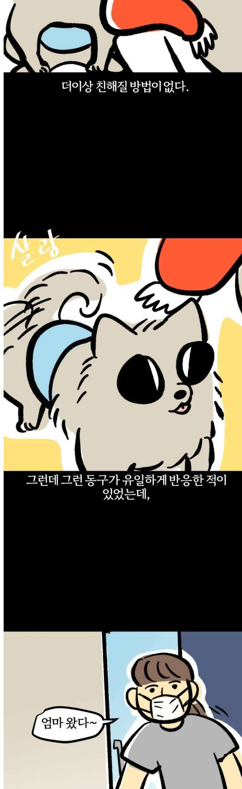 개집사 111화: 묵묵부답 11