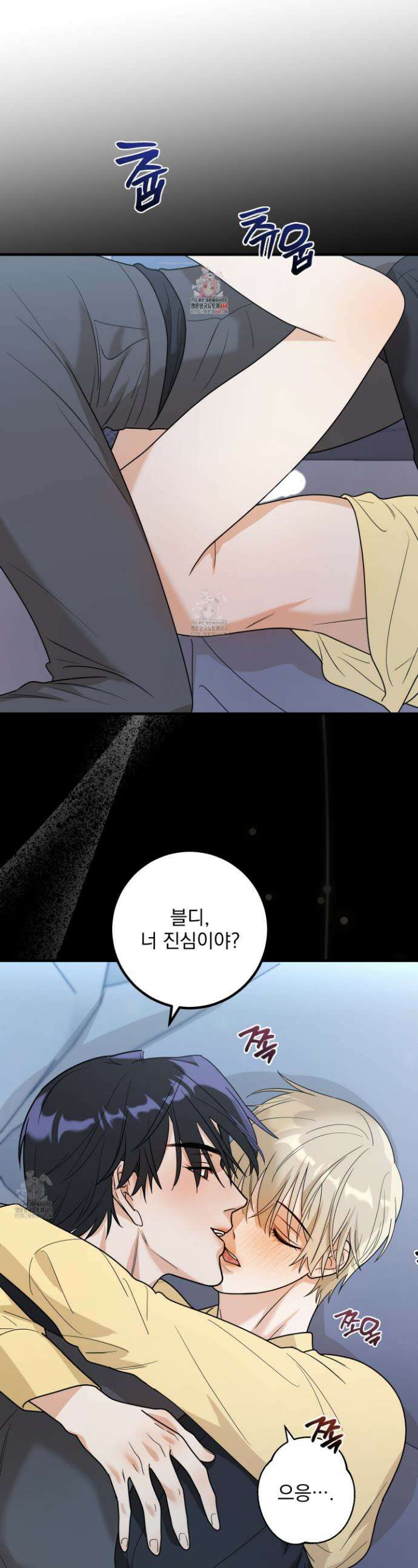 웨스터마크 효과 5화 1