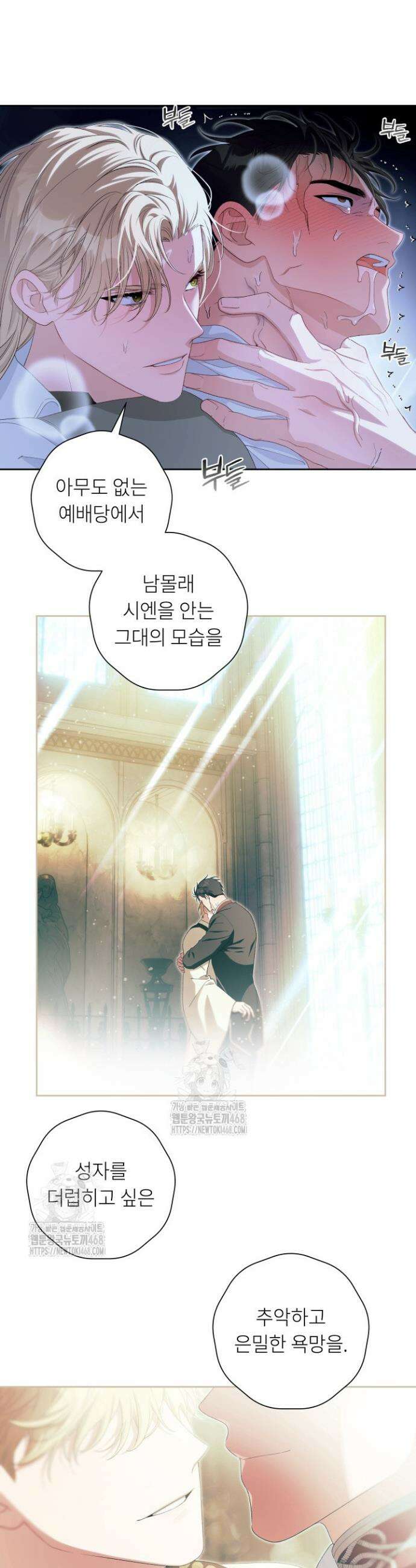 파테라 5화 5