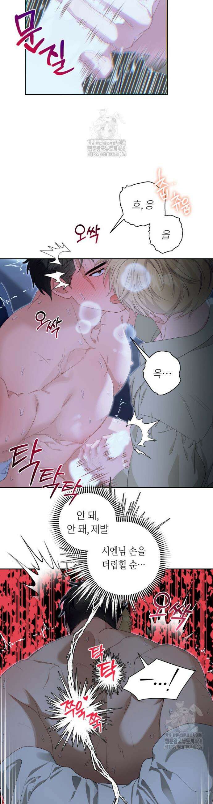 파테라 5화 20