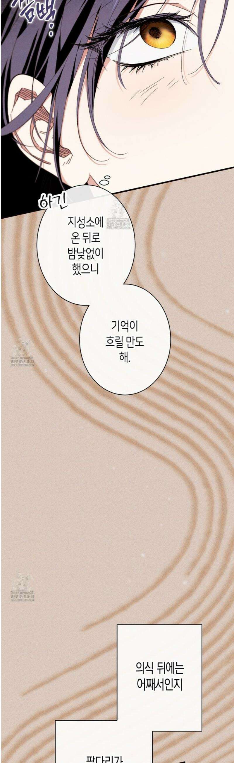 석류를 삼킨 뱀 20화 5