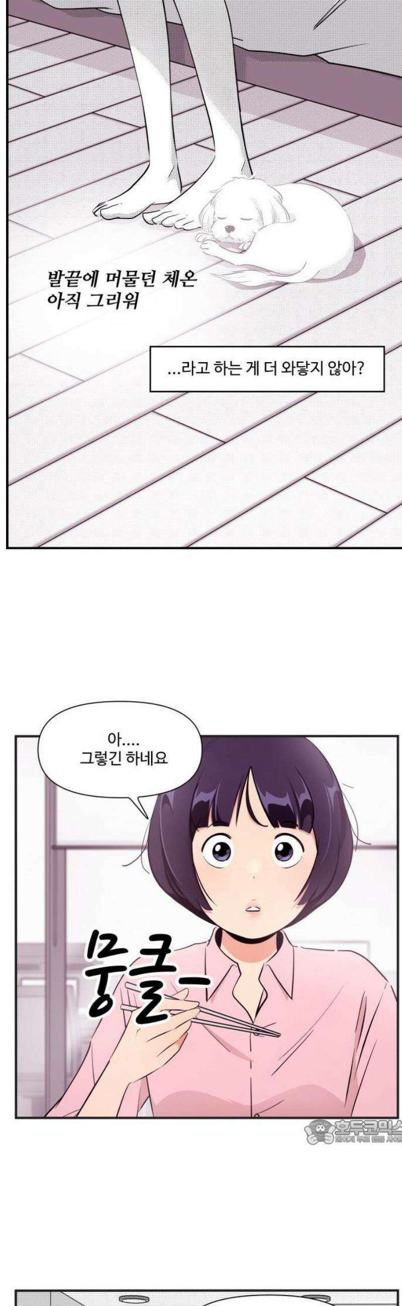 조조코믹스 <시즌5> 17화_철새가 아닌 이유 3