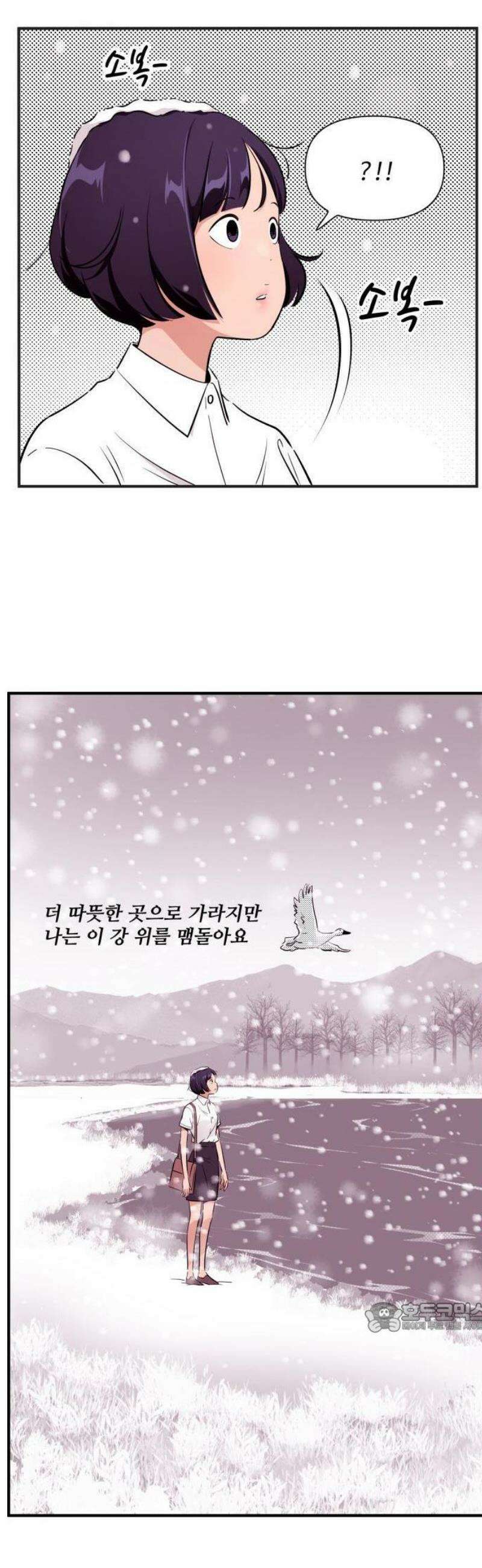 조조코믹스 <시즌5> 17화_철새가 아닌 이유 11