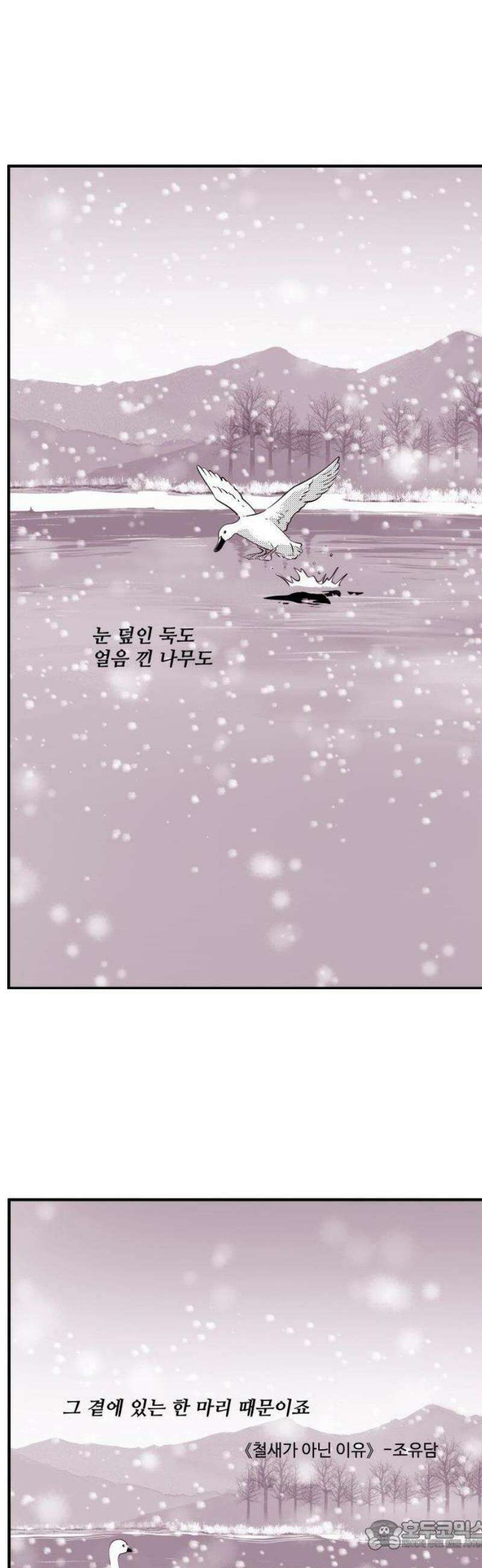 조조코믹스 <시즌5> 17화_철새가 아닌 이유 12