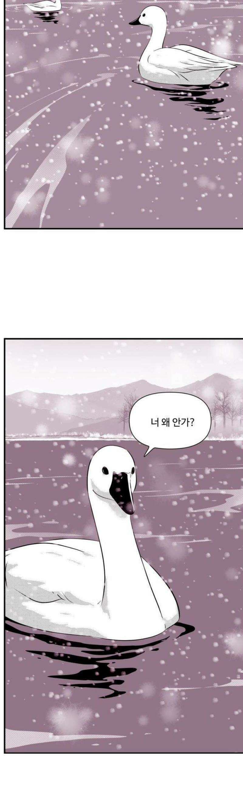 조조코믹스 <시즌5> 17화_철새가 아닌 이유 13