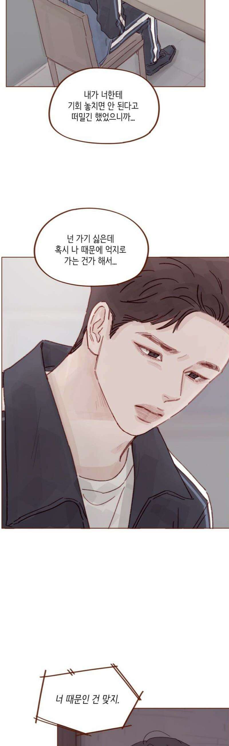 홍시는 날 좋아해 333화 : 꼭 나만 기다려야 해 12
