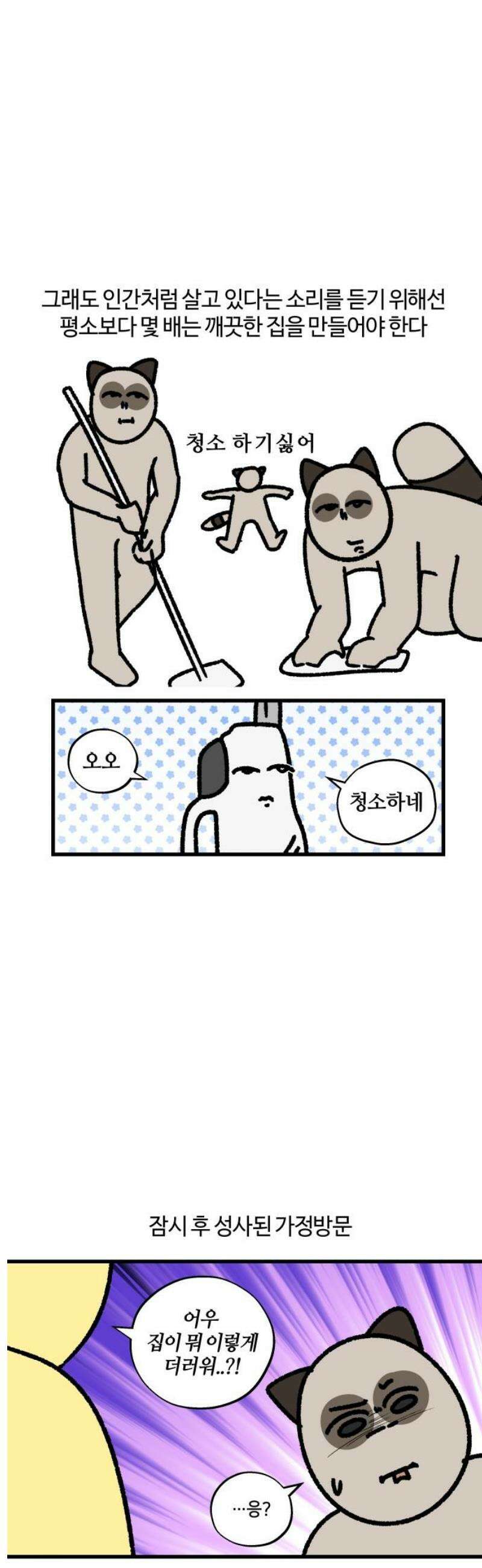 구야는 신입 118화 청소 11