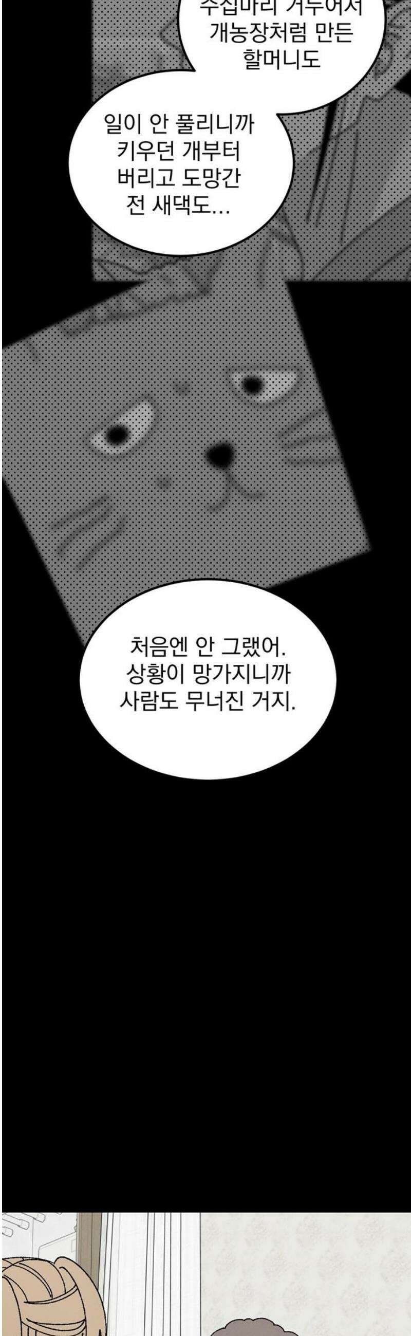 티라노 노경수 26크아앙 36