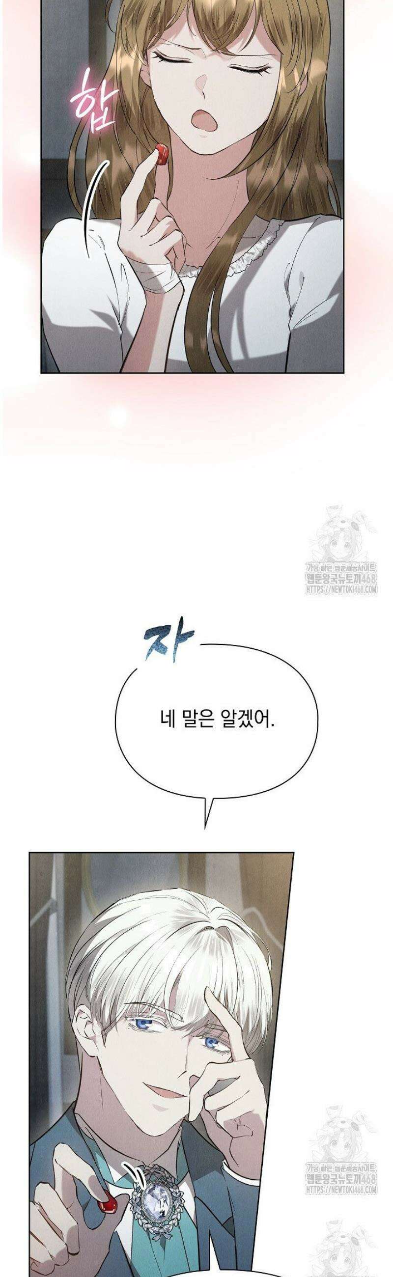 엑스트라는 가짜가 되기로 했다 41화 (하) 26