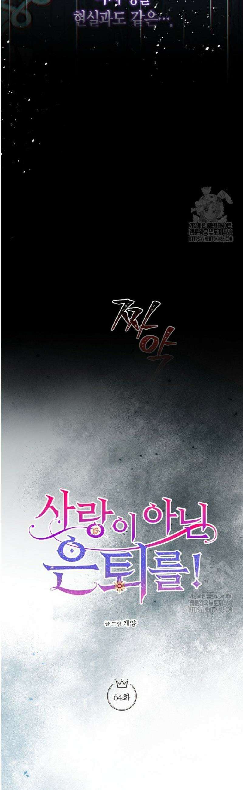 사랑이 아닌 은퇴를 64화 13