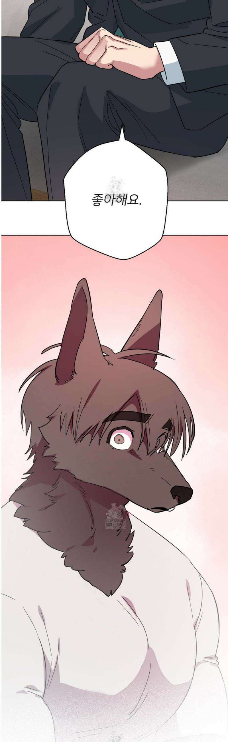 안돼요! 몰라요? 사실 알아요?! 50화 40
