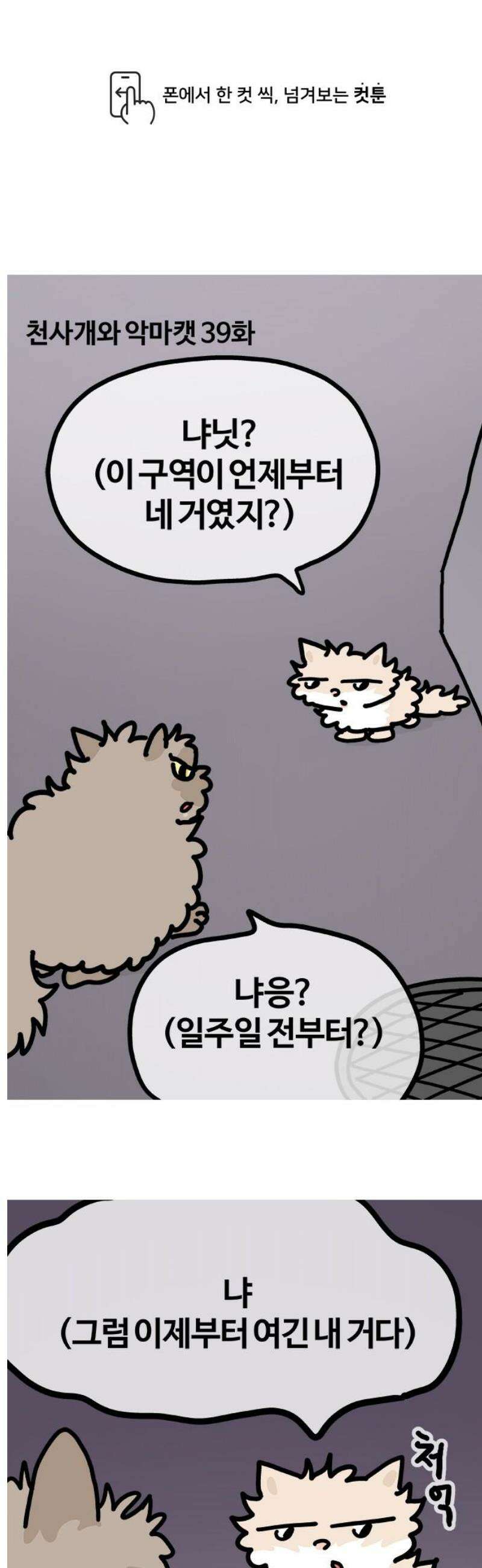 천사개와 악마캣 39화 발발이 뭔데 갑자기 1