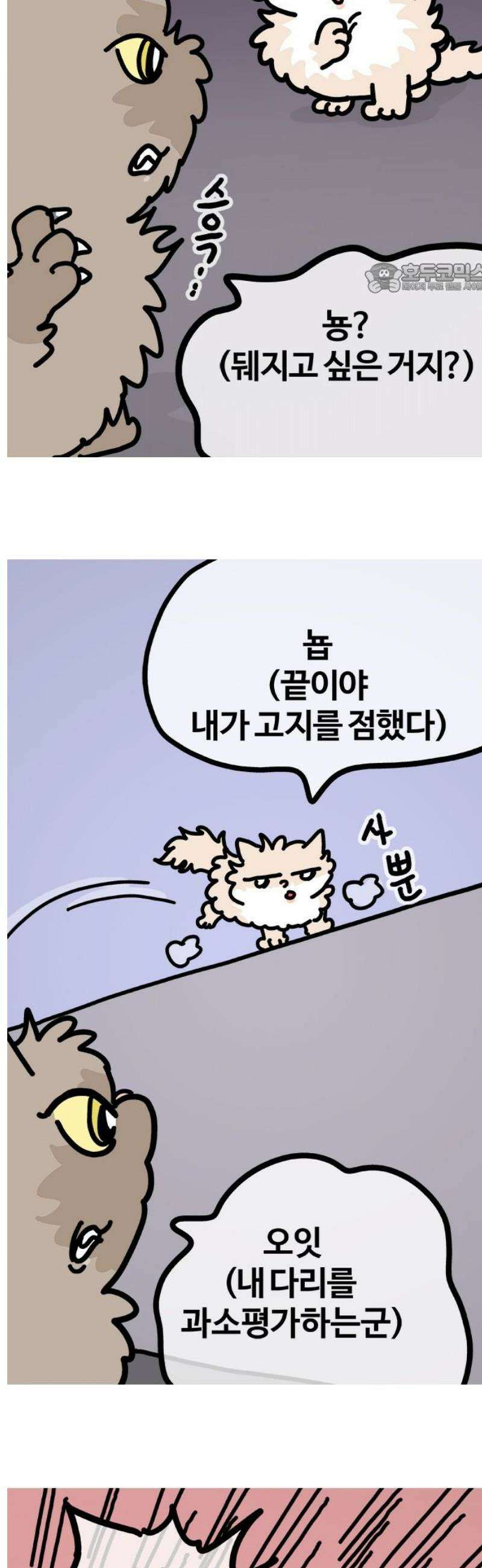 천사개와 악마캣 39화 발발이 뭔데 갑자기 2