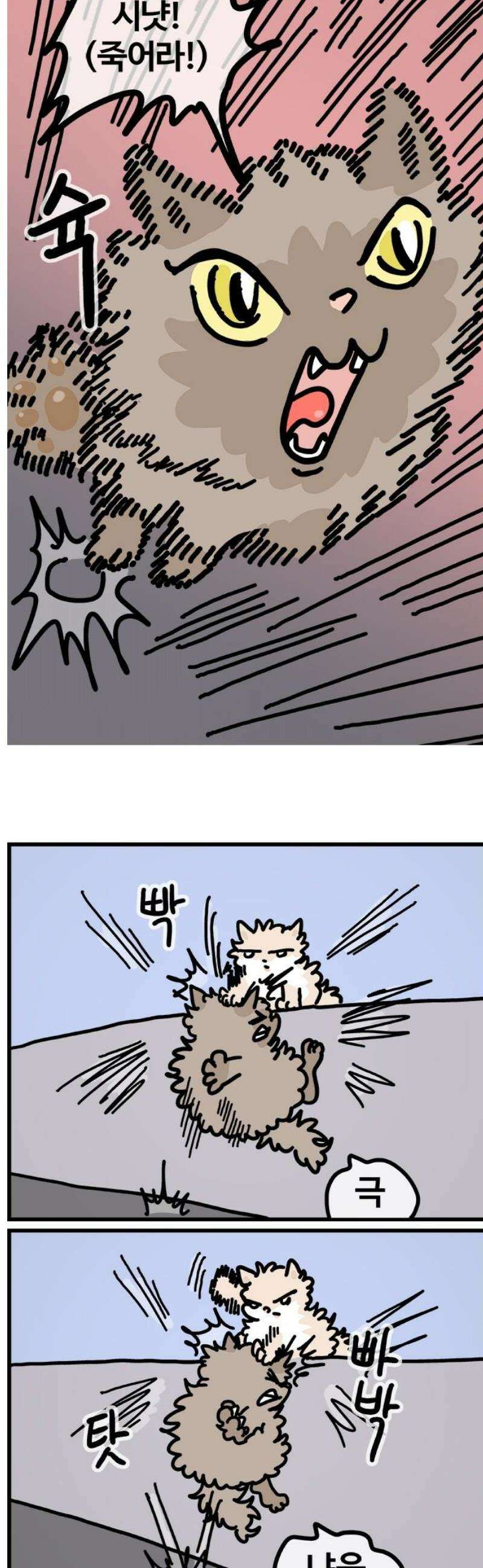 천사개와 악마캣 39화 발발이 뭔데 갑자기 3