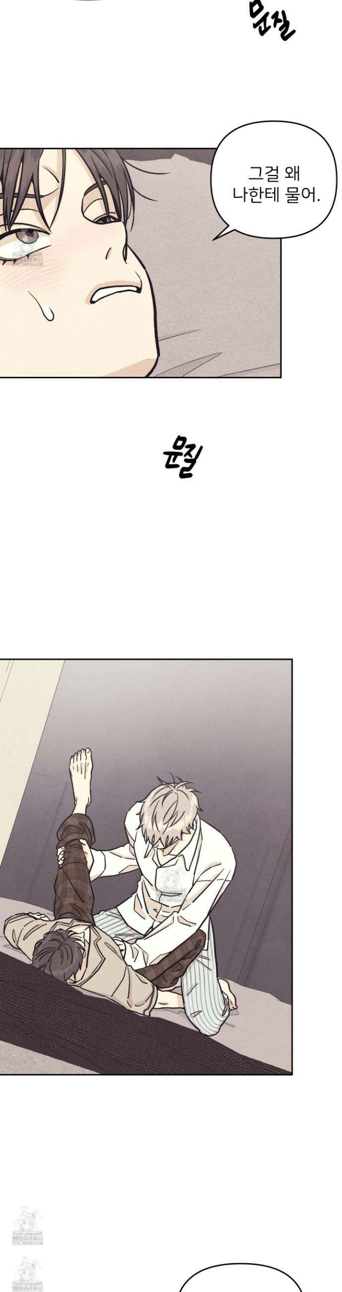 작전명 마레오 27화 8