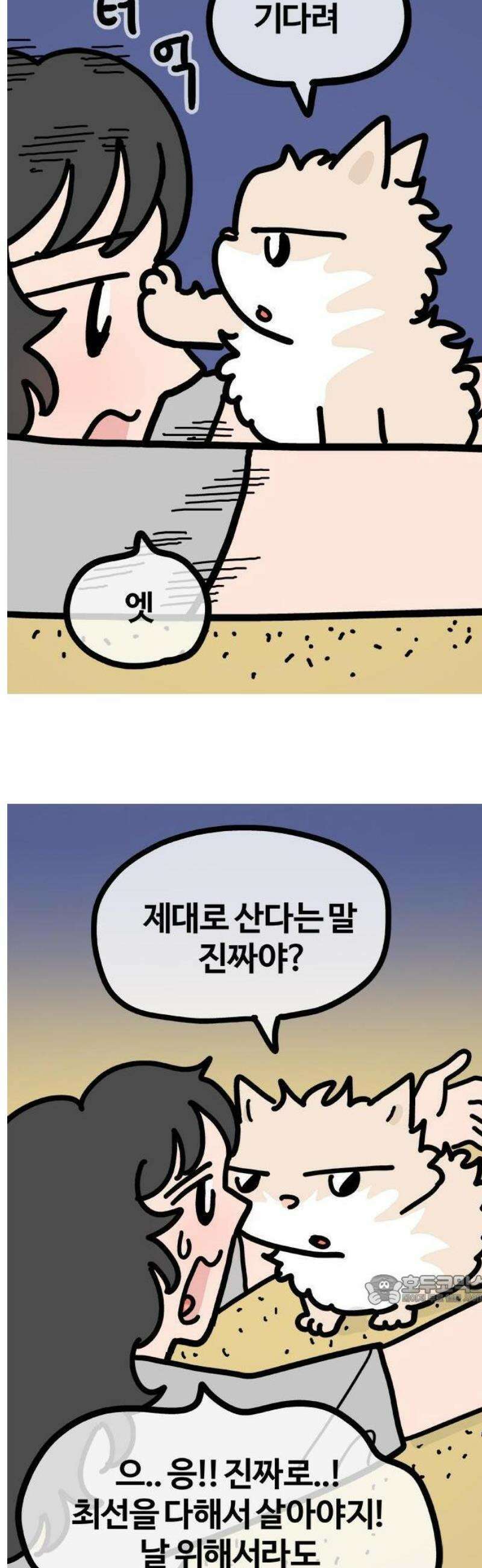 천사개와 악마캣 42화 악마캣 어택 3