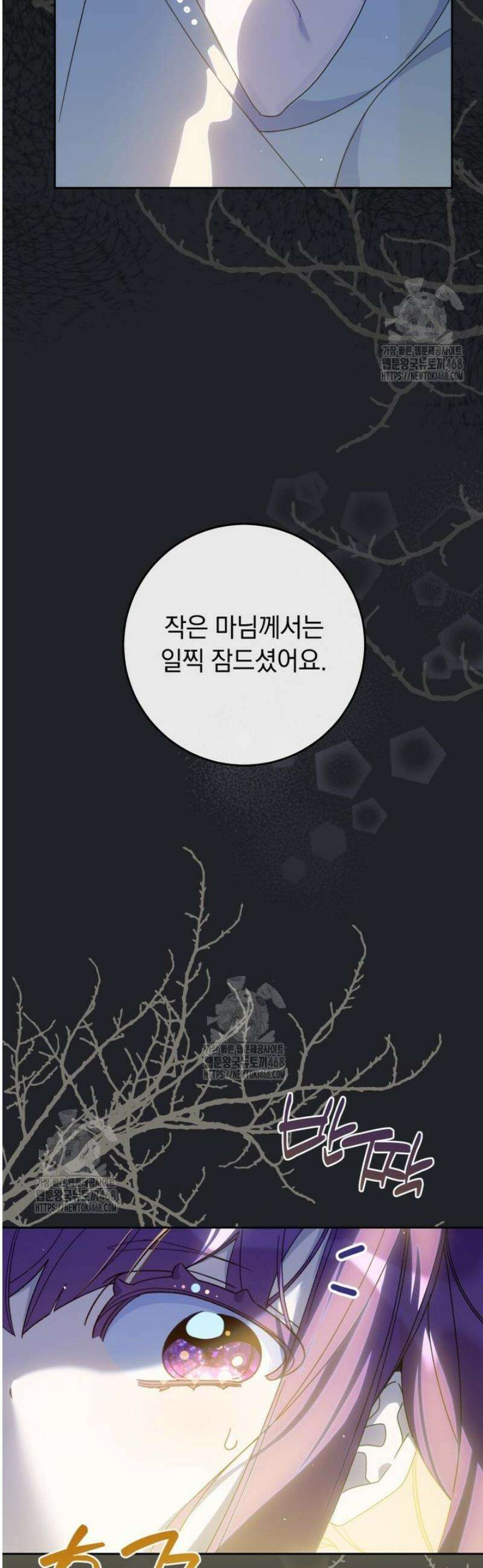 아기 남편의 흑막 아내입니다 24화 3