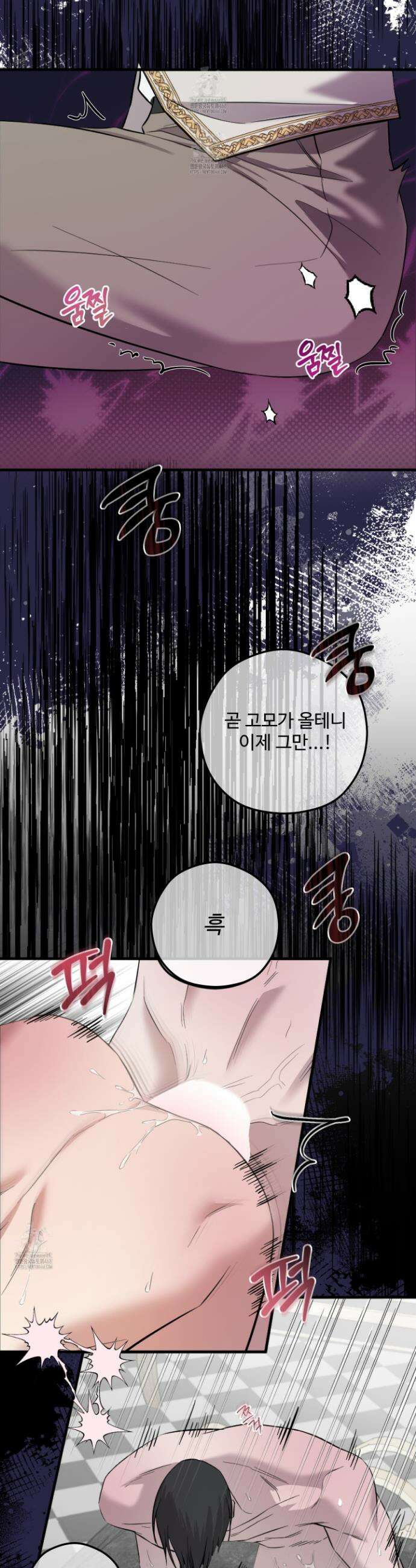 오윈 백작의 절륜 노예 1화 40