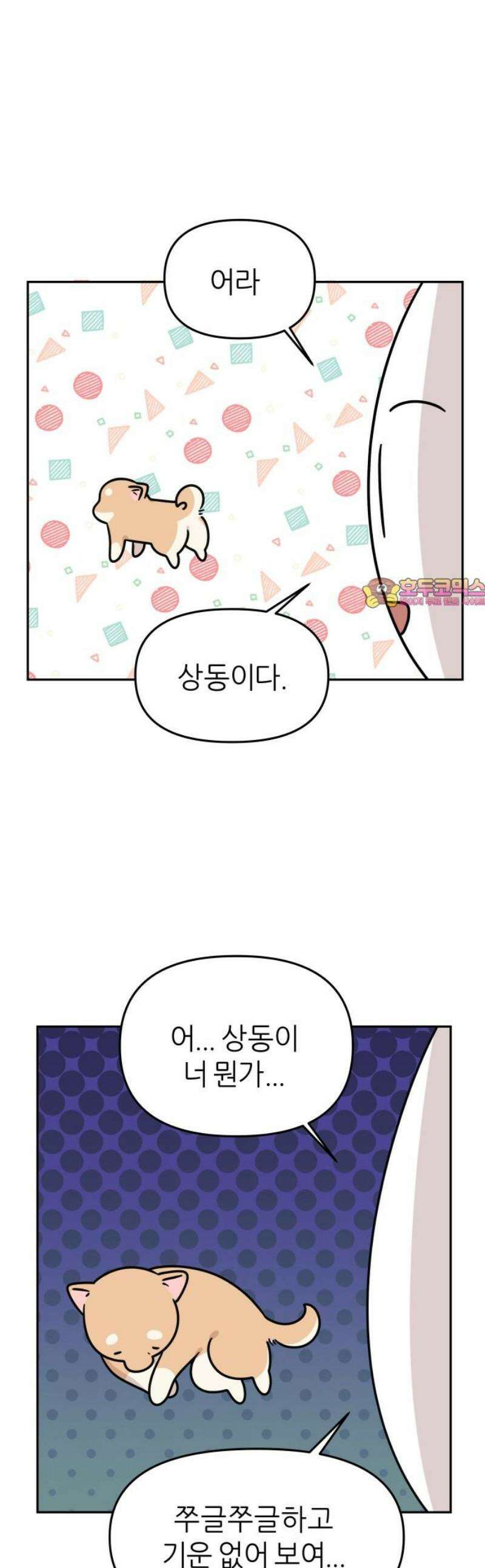 시바, 만만치 않다 69화 꿈 1