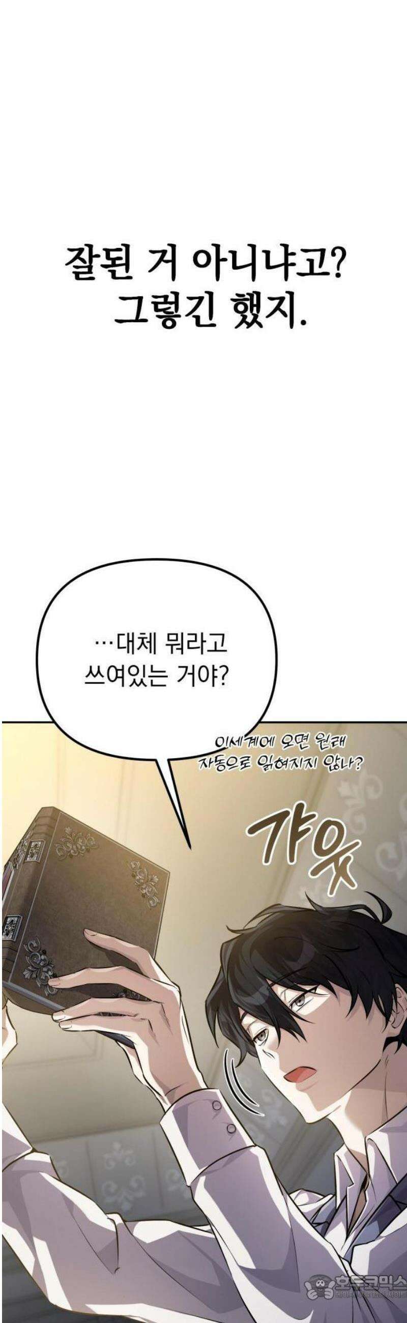 악당들의 후원자가 되었다 1화 15