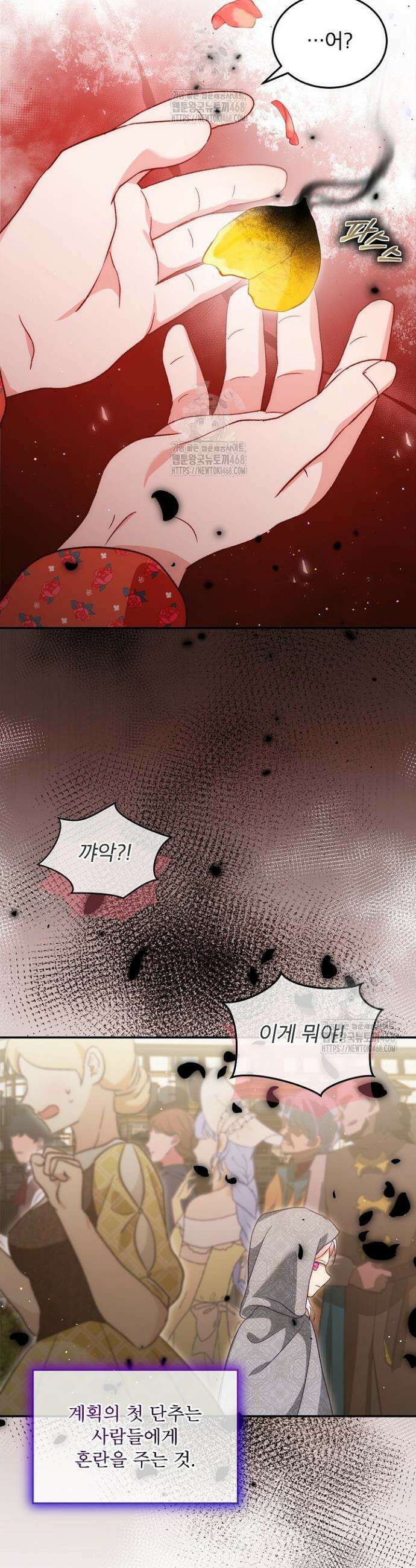 아기 신수로 환생했습니다 114화 38