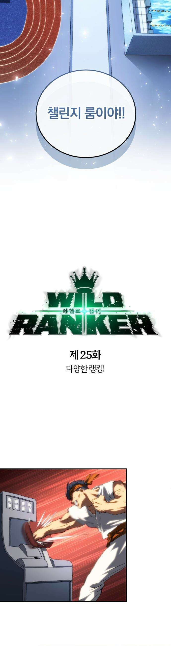와일드 랭커 - 제25화 : 다양한 랭킹! 3