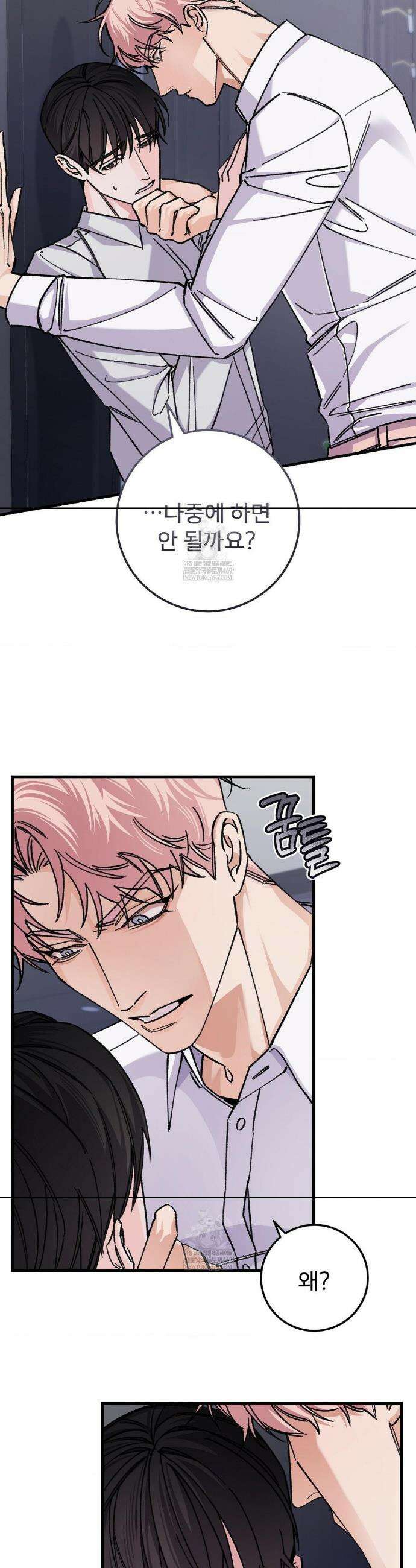 대표님이 취향입니다 23화 2