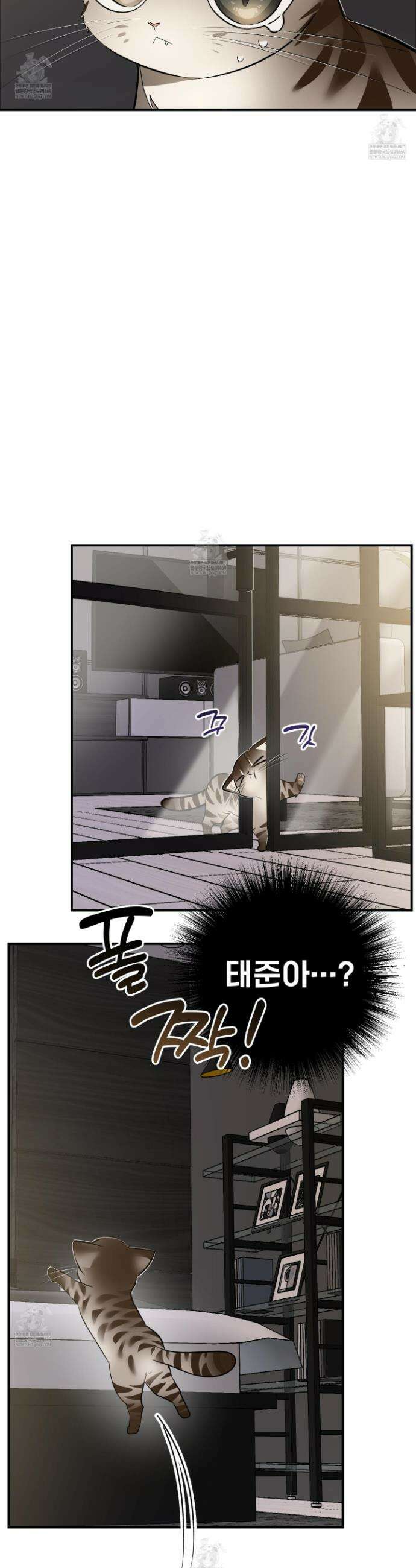 아기 삵을 낳아줘, 나 미치는 꼴 보기 싫으면! 15화 2