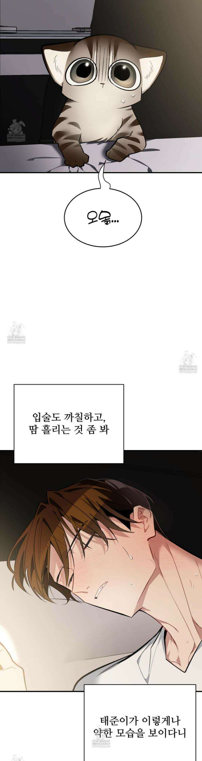 아기 삵을 낳아줘, 나 미치는 꼴 보기 싫으면! 15화 4