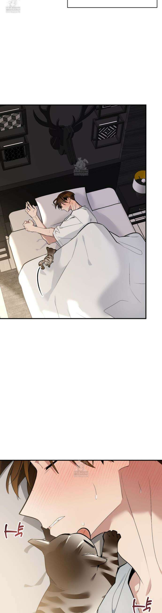 아기 삵을 낳아줘, 나 미치는 꼴 보기 싫으면! 15화 5