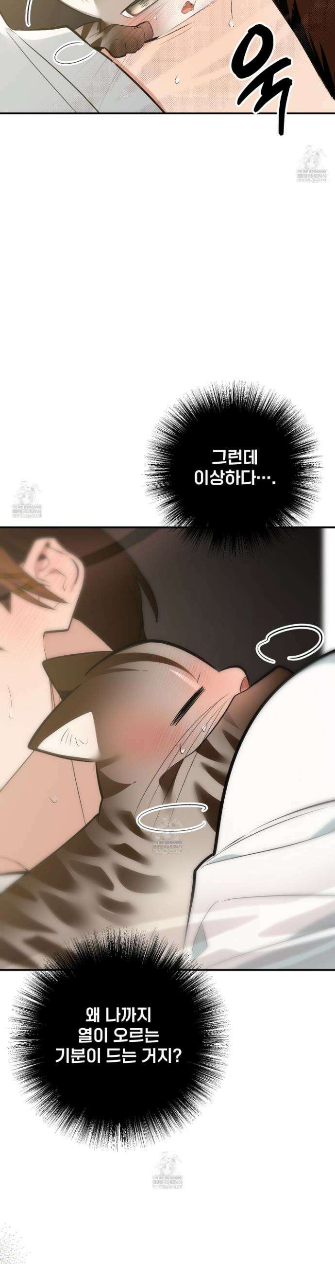 아기 삵을 낳아줘, 나 미치는 꼴 보기 싫으면! 15화 7