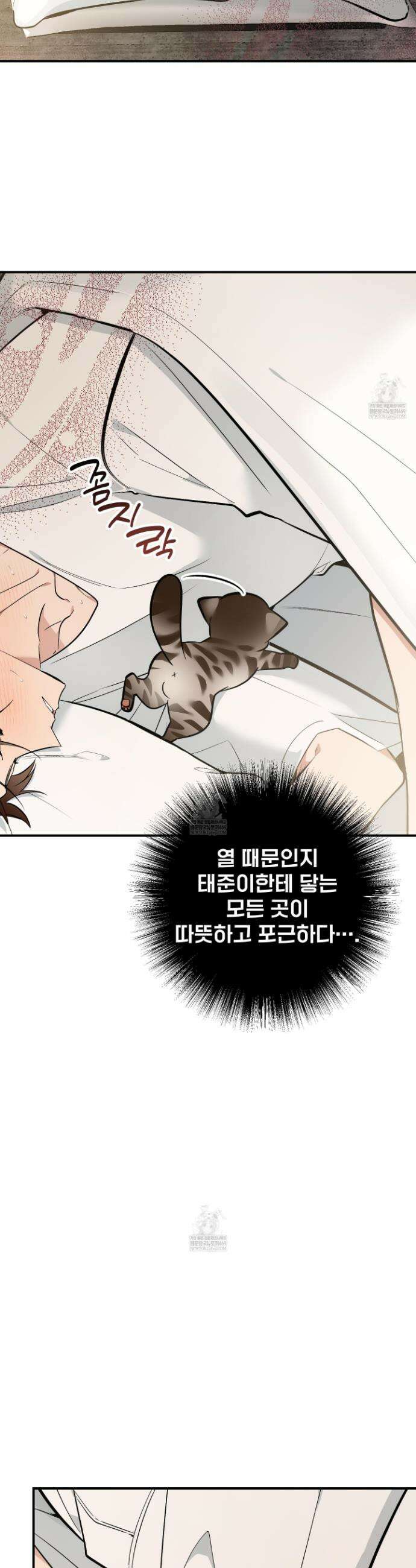 아기 삵을 낳아줘, 나 미치는 꼴 보기 싫으면! 15화 9