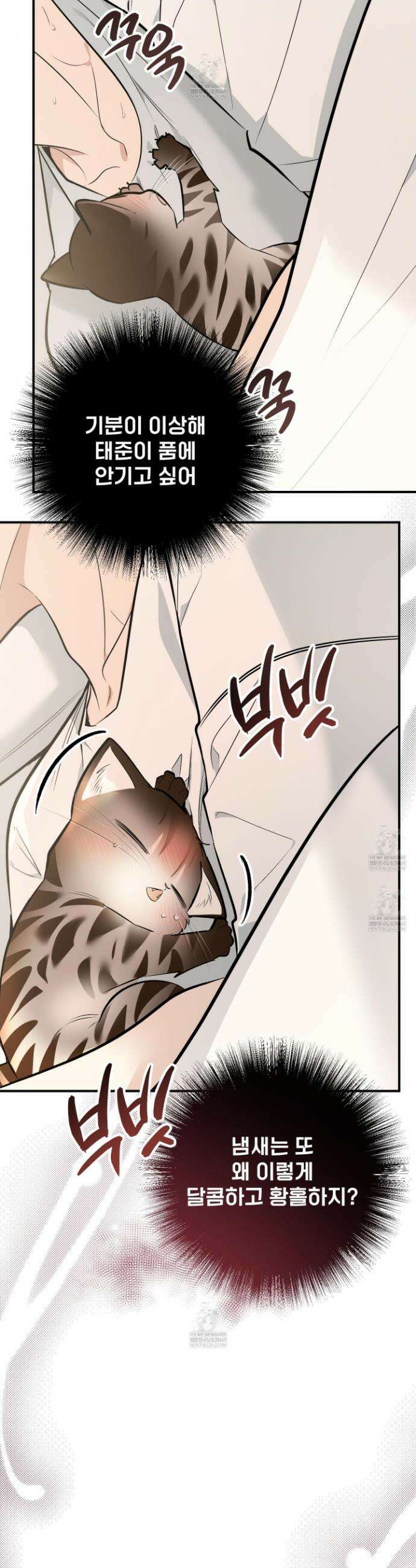 아기 삵을 낳아줘, 나 미치는 꼴 보기 싫으면! 15화 10