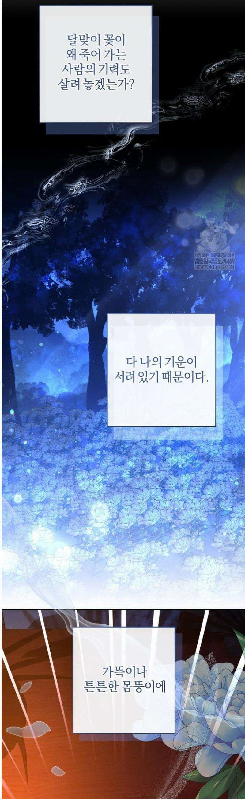 숨어 보는 BL 특강  고전에서의 떡 활용법 ~호랑이를 중심으로~ 외전 3화 [완결] 58